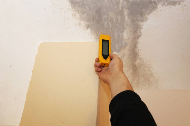Best Mold Removal for HVAC Installations  in Lechee, AZ