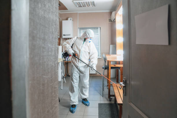 Best Mold Prevention Services  in Lechee, AZ
