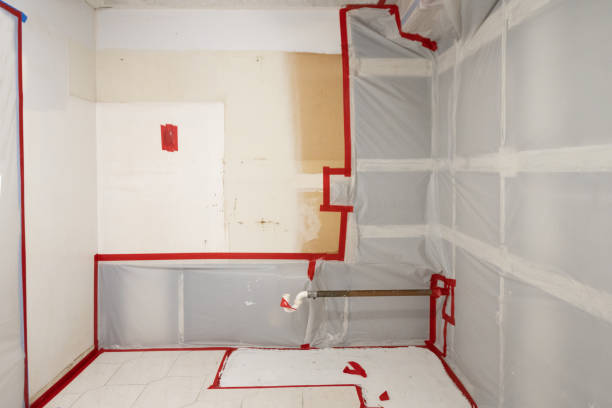 Best Dehumidification Services  in Lechee, AZ
