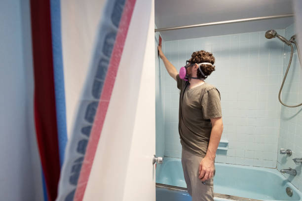 Best Emergency Mold Remediation  in Lechee, AZ