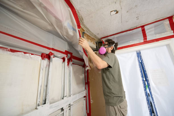 Best Industrial Mold Remediation  in Lechee, AZ