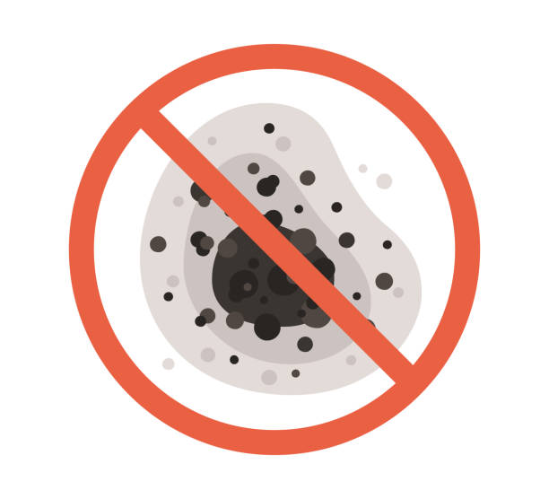 Best Black Mold Removal  in Lechee, AZ