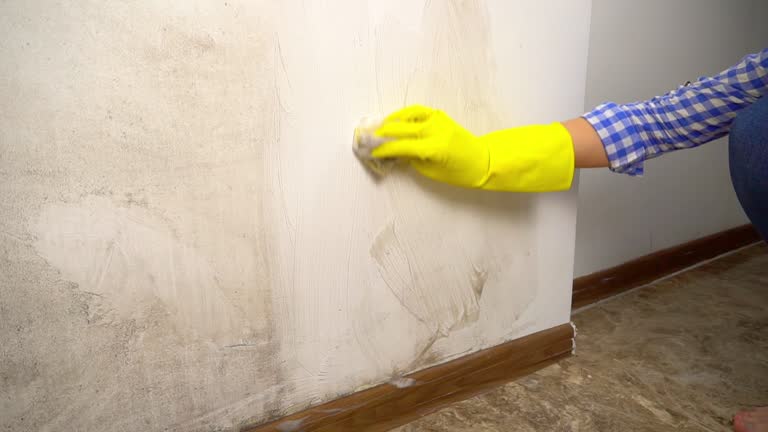 Best Environmental Consulting for Mold Prevention  in Lechee, AZ