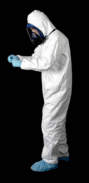 Best Basement Mold Removal  in Lechee, AZ